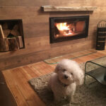 Our dog loves it!