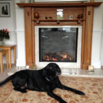 Warm and welcoming