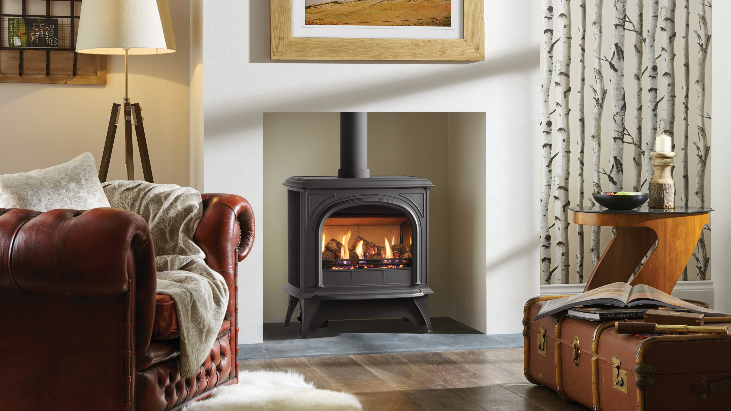  Traditional Gas Stoves