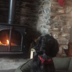 Winter warmer