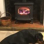 Gazco Huntingdon 30 gas stove – “Not only the humans are happy!”