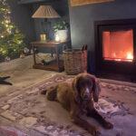 Stovax Riva2 55 wood burning fire – “Makes My Home, Home”