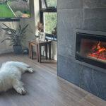 Stovax Studio 2 inset wood burning fire – “Stunning Stove”