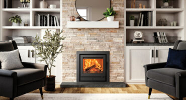Multi-fuel Inset Fires
